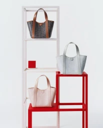 Moynat Duo BB Canvas