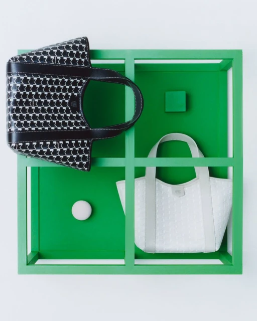 Moynat Duo BB Canvas