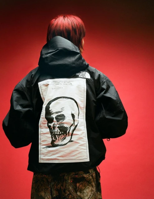 Supreme x The North Face F/W 24