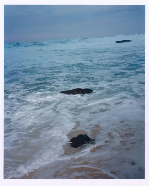 2025 Capsule Collection