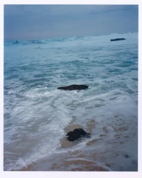 2025 Capsule Collection