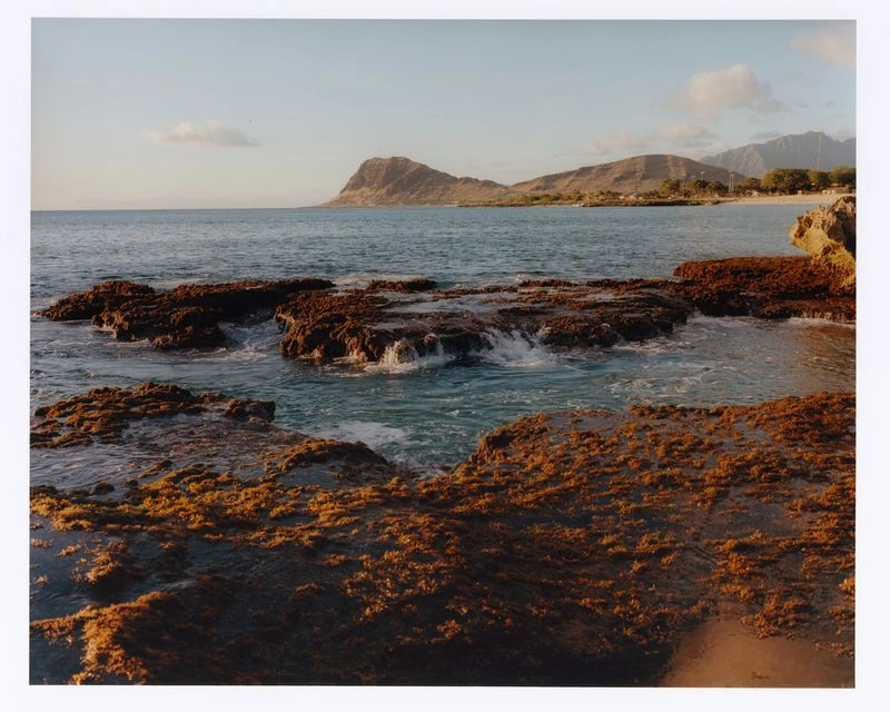 2025 Capsule Collection