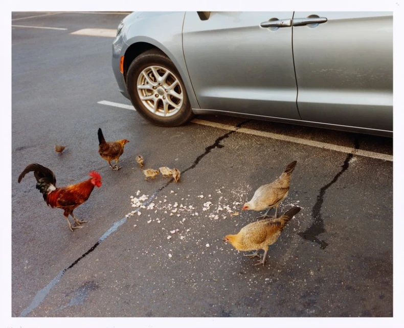 2025 Capsule Collection