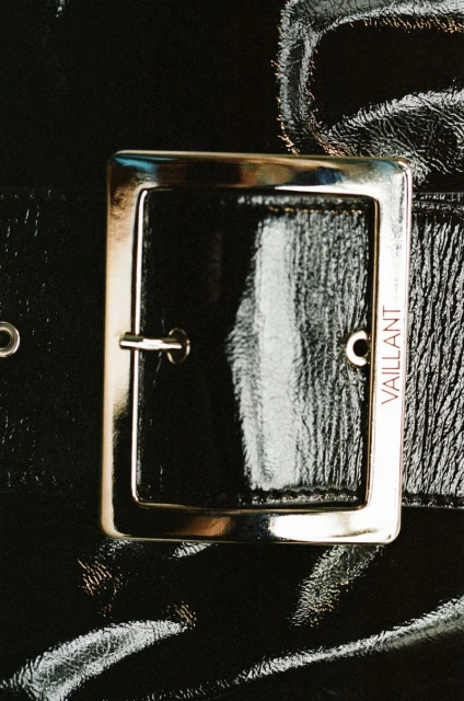 Vaillant F/W 24 Handbags