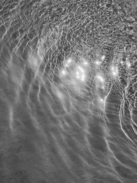 Massimo Dutti SWIMWEAR summer 2024