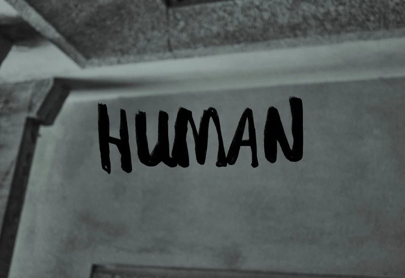 Diomene S/S 25 Lookbook