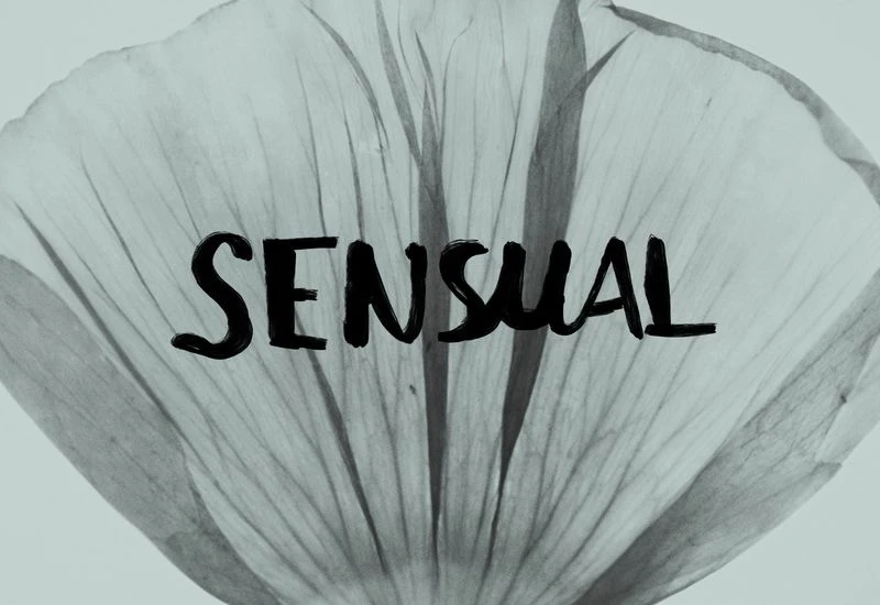 Diomene S/S 25 Lookbook