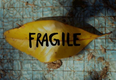 Diomene S/S 25 Lookbook