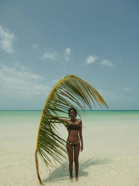 Massimo Dutti Holbox