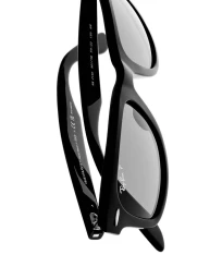 Ray-Ban 2024 The Icons