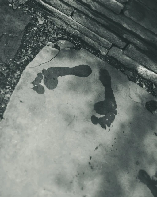 FALL 24 Men’s Lookbook