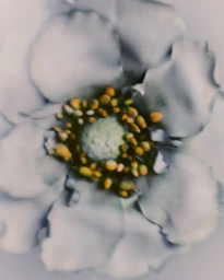 Zara MAN Valentine's Collection