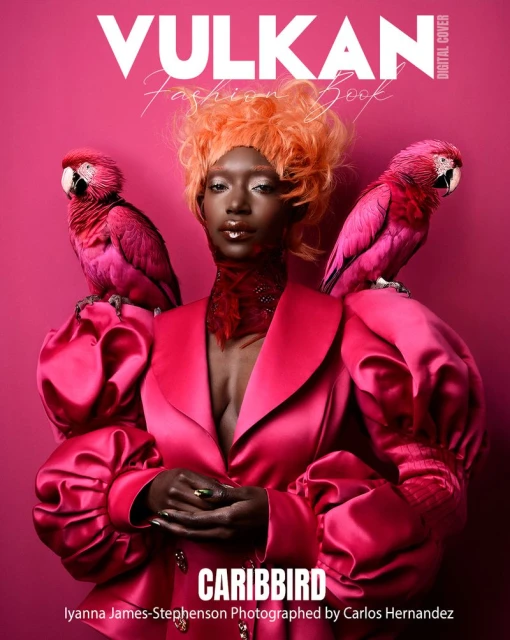 Vulkan Magazine March 2025 Digita Cover