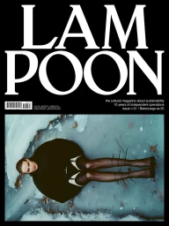 Lampoon Magazine issue n 31 Covers