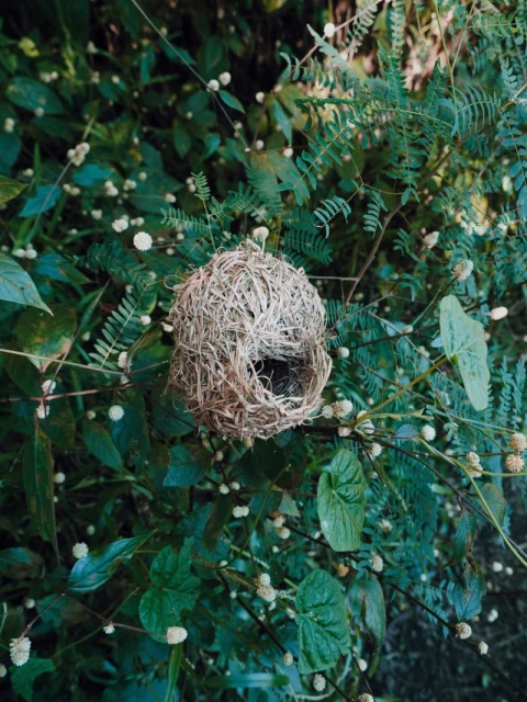 Byredo’s Freestyle Swimsuit