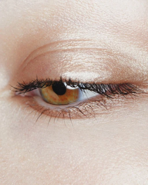 Rose Inc Holiday 2023 Campaign