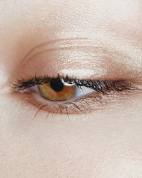 Rose Inc Holiday 2023 Campaign