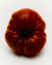 Loewe perfumes AW'23