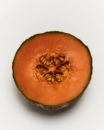 Loewe perfumes AW'23