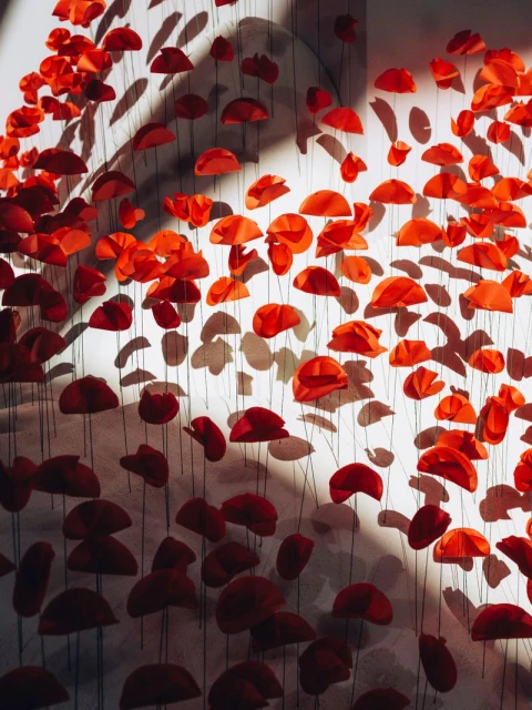 Akris SS24 Backstage