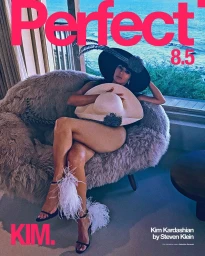 The Perfect Magazine Issue 8.5 2025 Covers