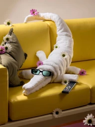 David Brandon Geeting