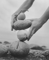 Photography Pauline Suzor