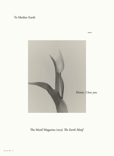 The Earth Motif — Covers