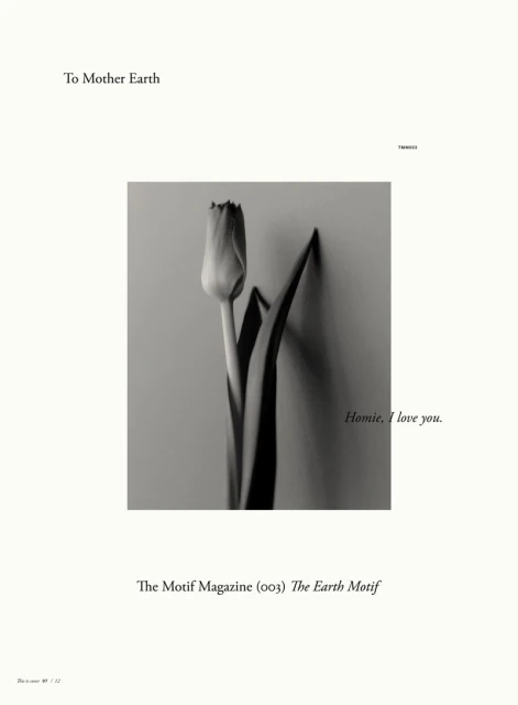 The Earth Motif — Covers