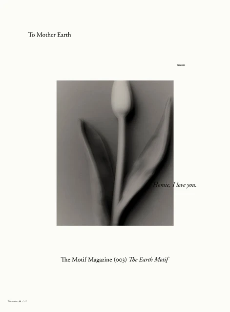 The Earth Motif — Covers