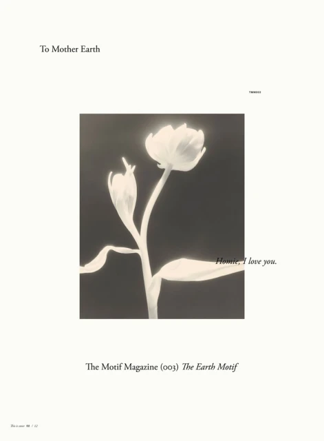 The Earth Motif — Covers