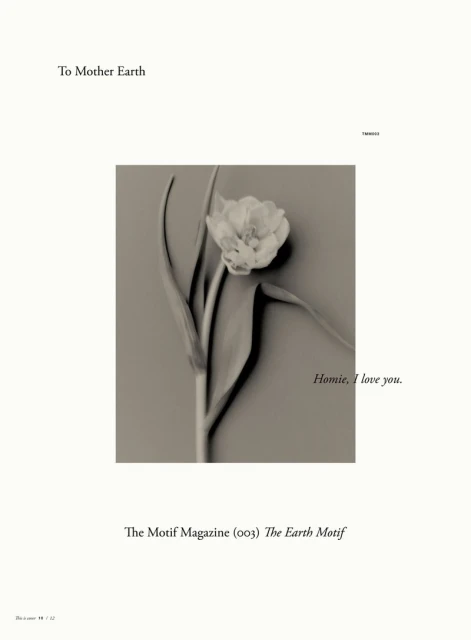 The Earth Motif — Covers