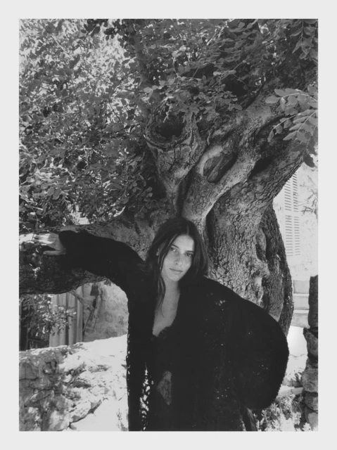 Creators & Collectors