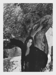 Creators & Collectors