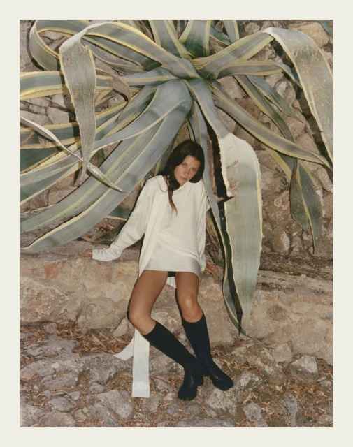 Creators & Collectors