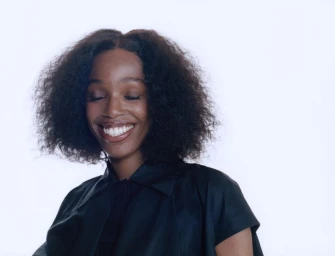 BRICK - John Glacier