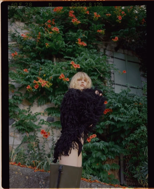 Un été suspendu au soleil