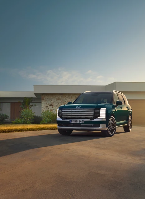 Hyundai Palisade Campaign