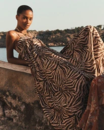 Zimmerman Cruise 2026