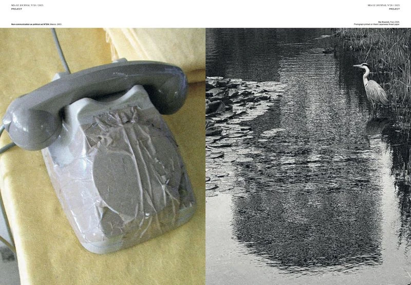 Ode to Fading | Project , Issue N° 20, Ten years of Mia.