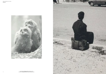 Ode to Fading | Project , Issue N° 20, Ten years of Mia.