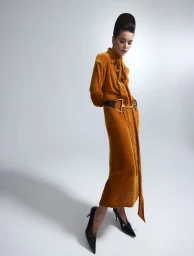 Révolution de velours