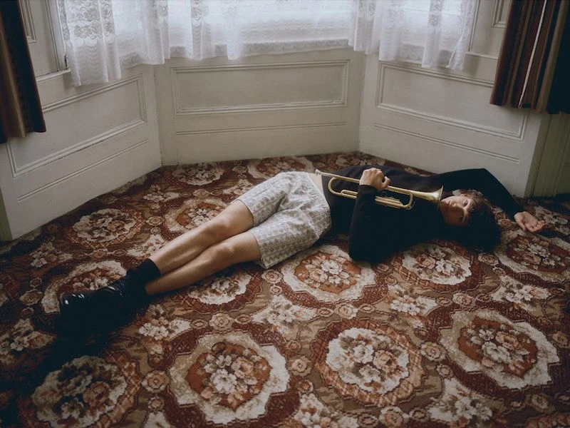 Contemporary Arlquin