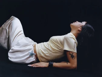 BRICK 13 - Lexa Gates