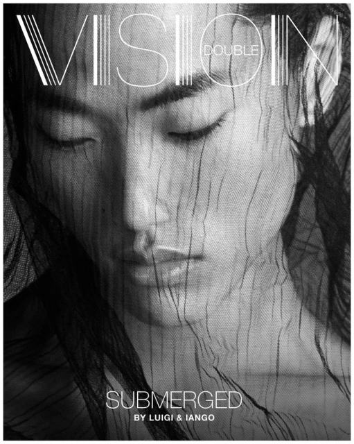 Double Vision SUBMERGED 2025 Covers