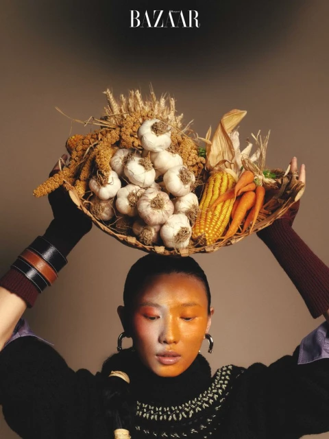 Harper's Bazaar China November 2025 Digital Cover