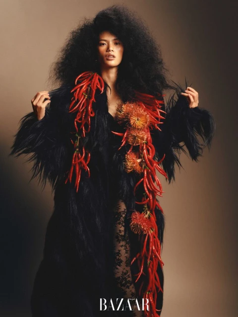 Harper's Bazaar China November 2025 Digital Cover