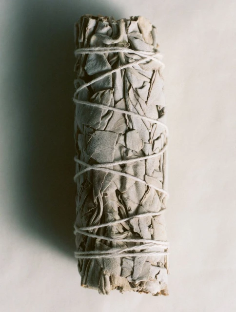 Erase and Rewind, Lampoon Soap issue 32