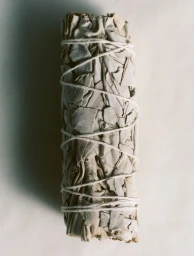 Erase and Rewind, Lampoon Soap issue 32