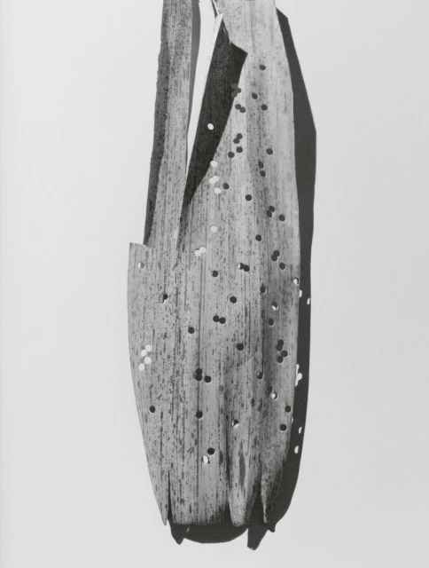 Erase and Rewind, Lampoon Soap issue 32